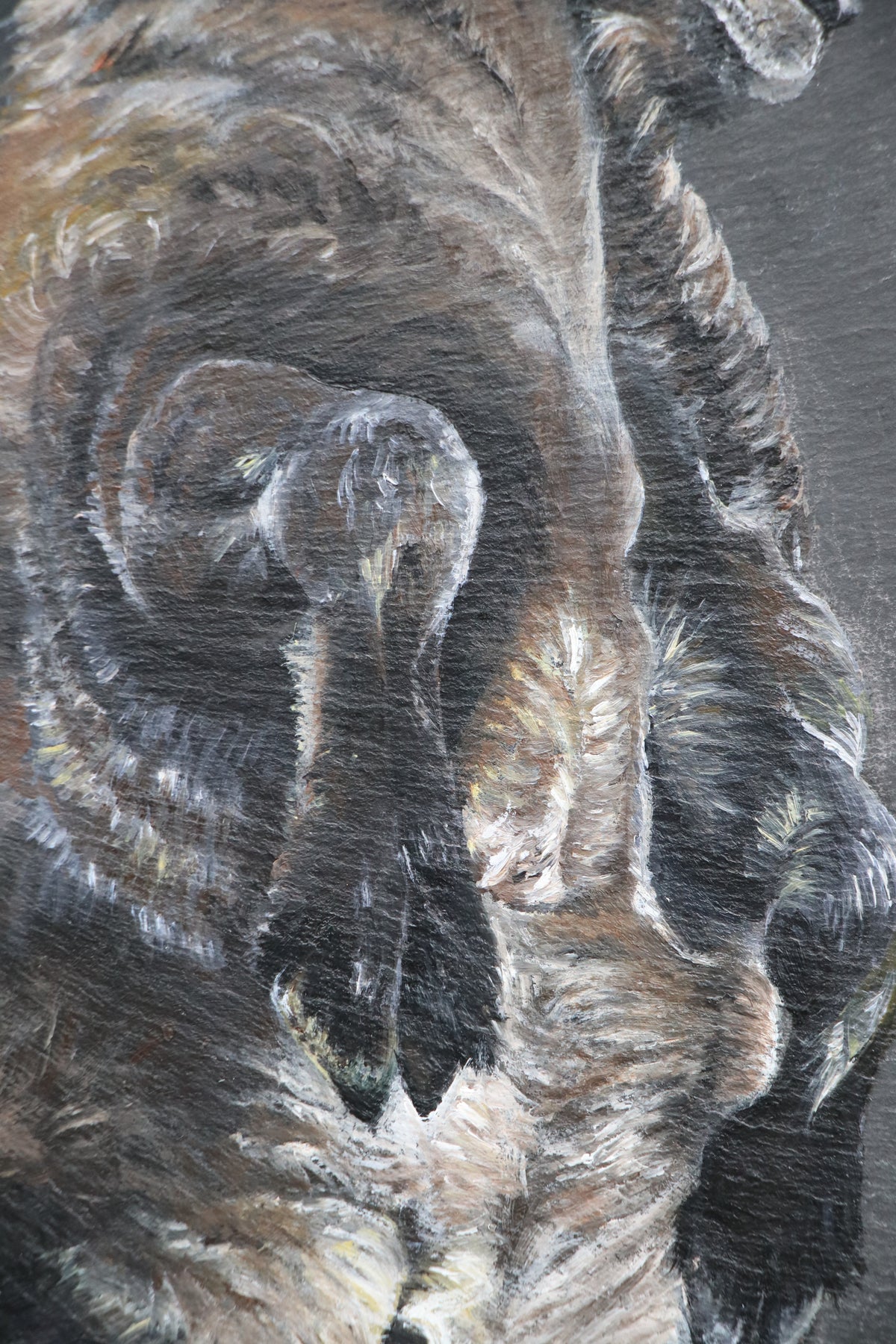 Longhorn - Original piece