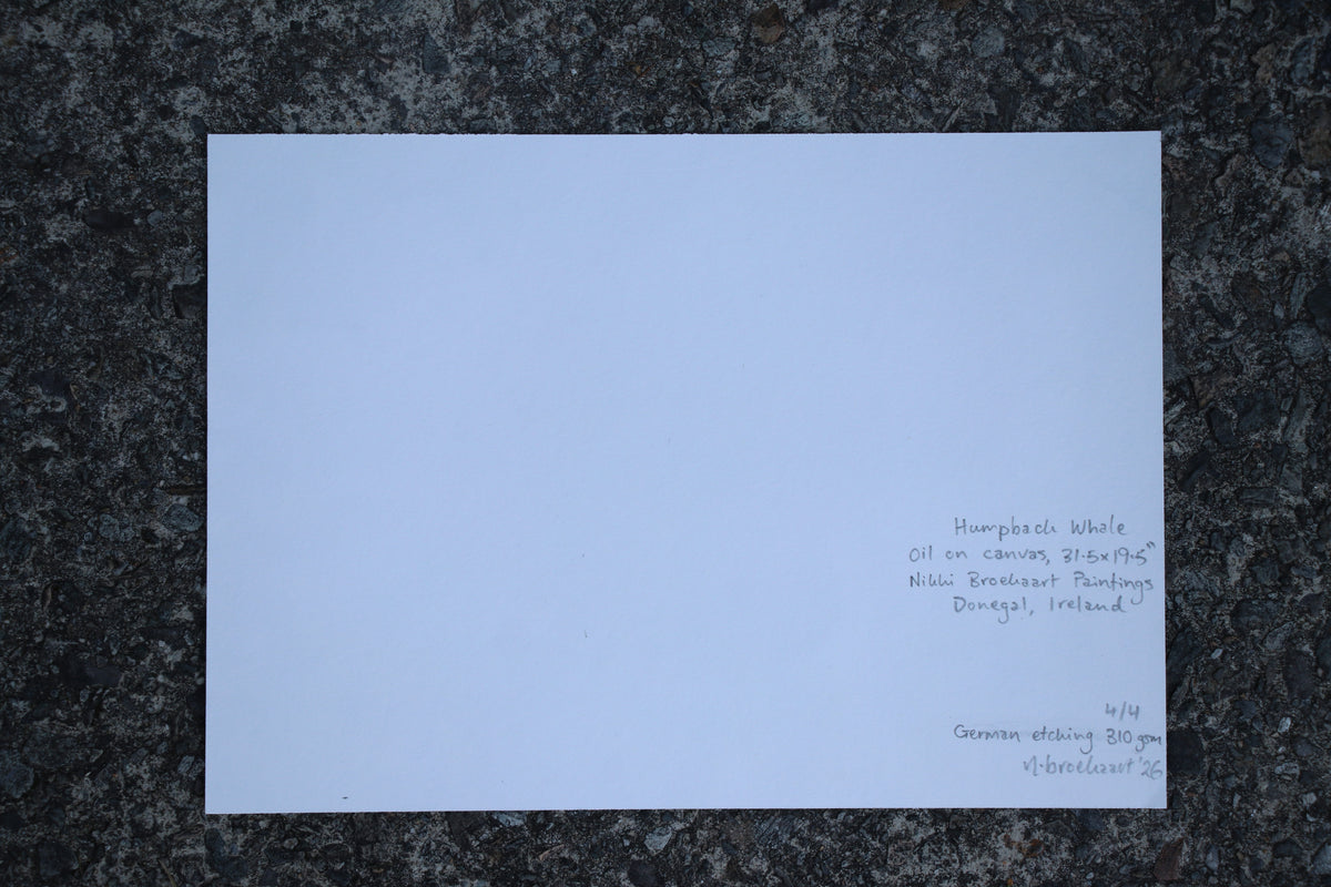 Humpback Whale - Quality Print (unmounted)