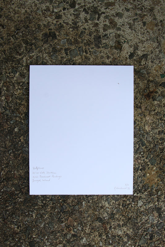 Bellflower - Small Mounted Print