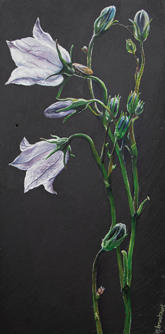 Bellflower - Original piece