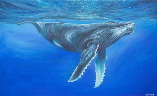 Humpback Whale - Original piece