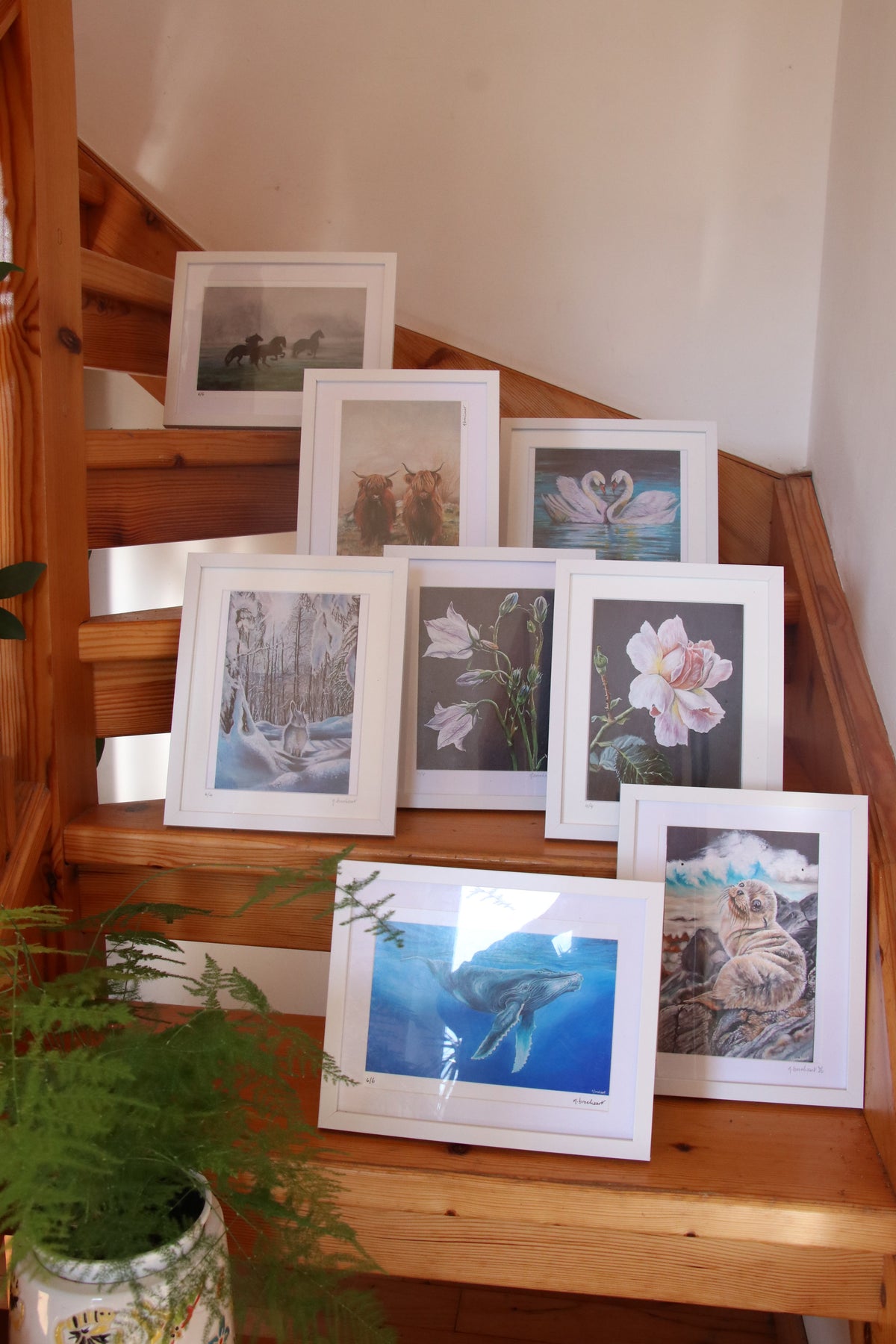 Framed Prints