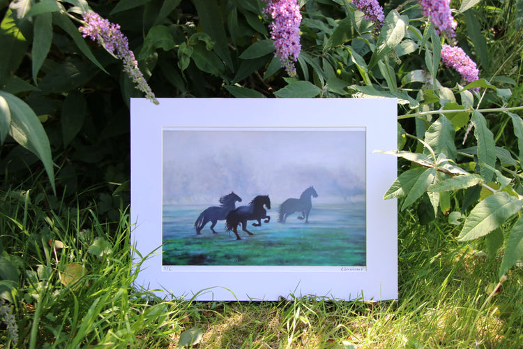 Mounted Prints