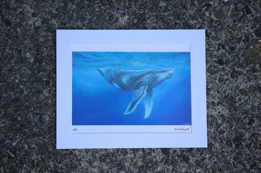 Humpback Whale - Small Mounted Print