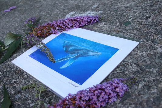 Humpback Whale - Small Mounted Print