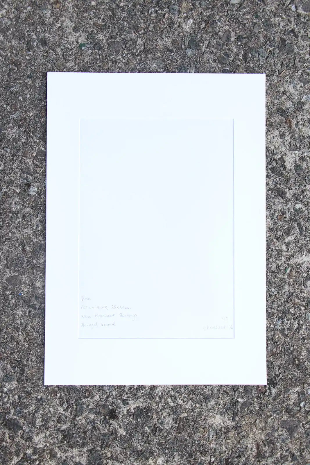 Rose - Large Mounted Print