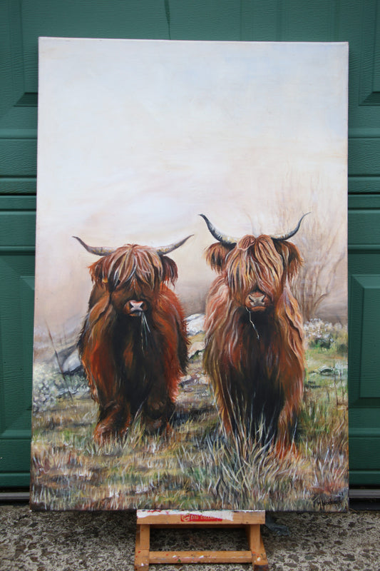 Highland Cows - Original piece