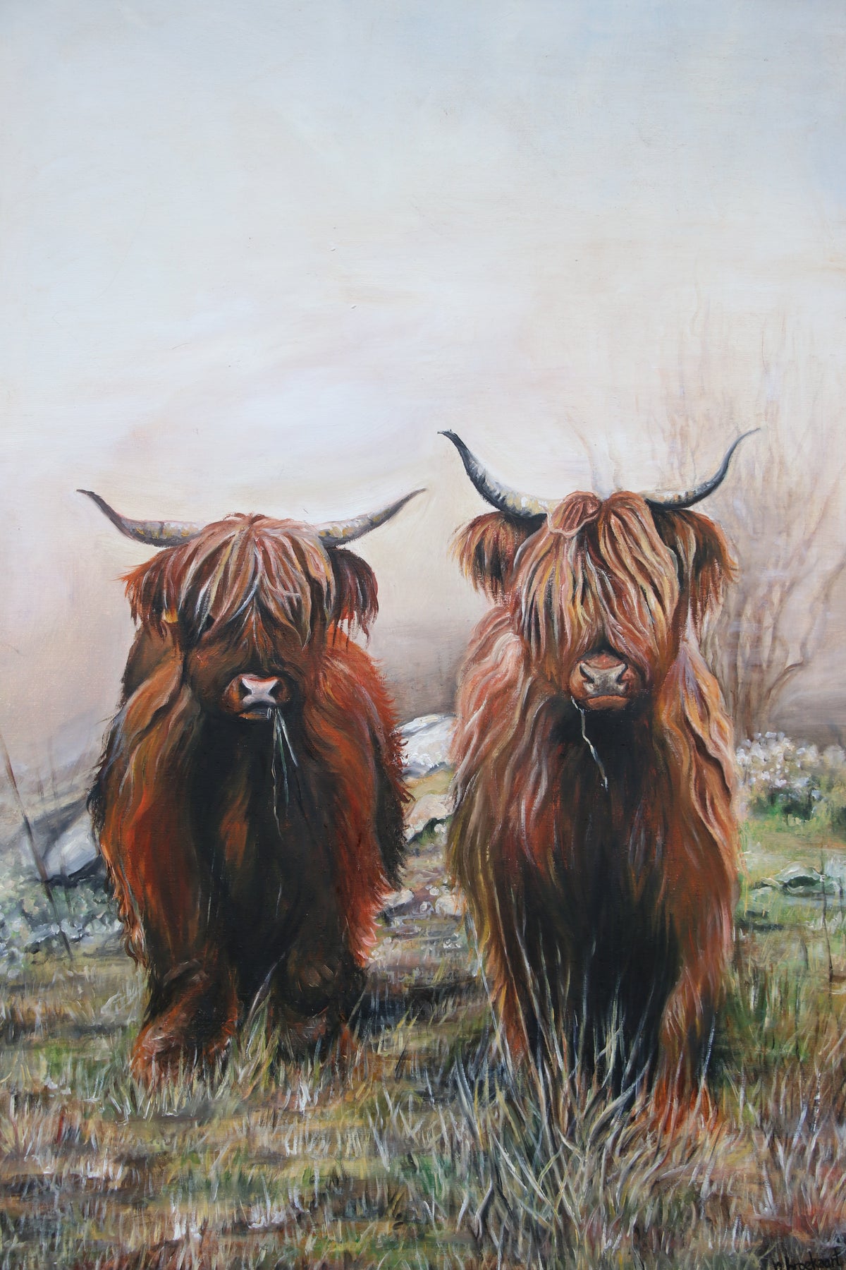 Highland Cows - Original piece
