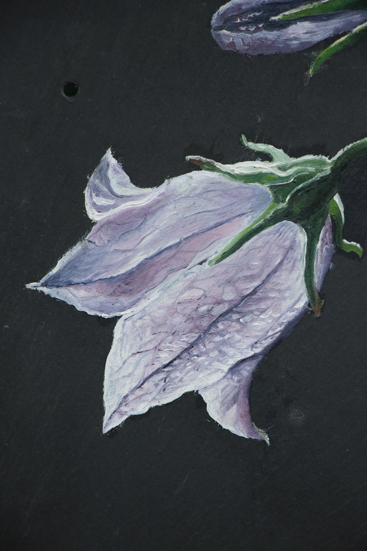 Bellflower - Original piece