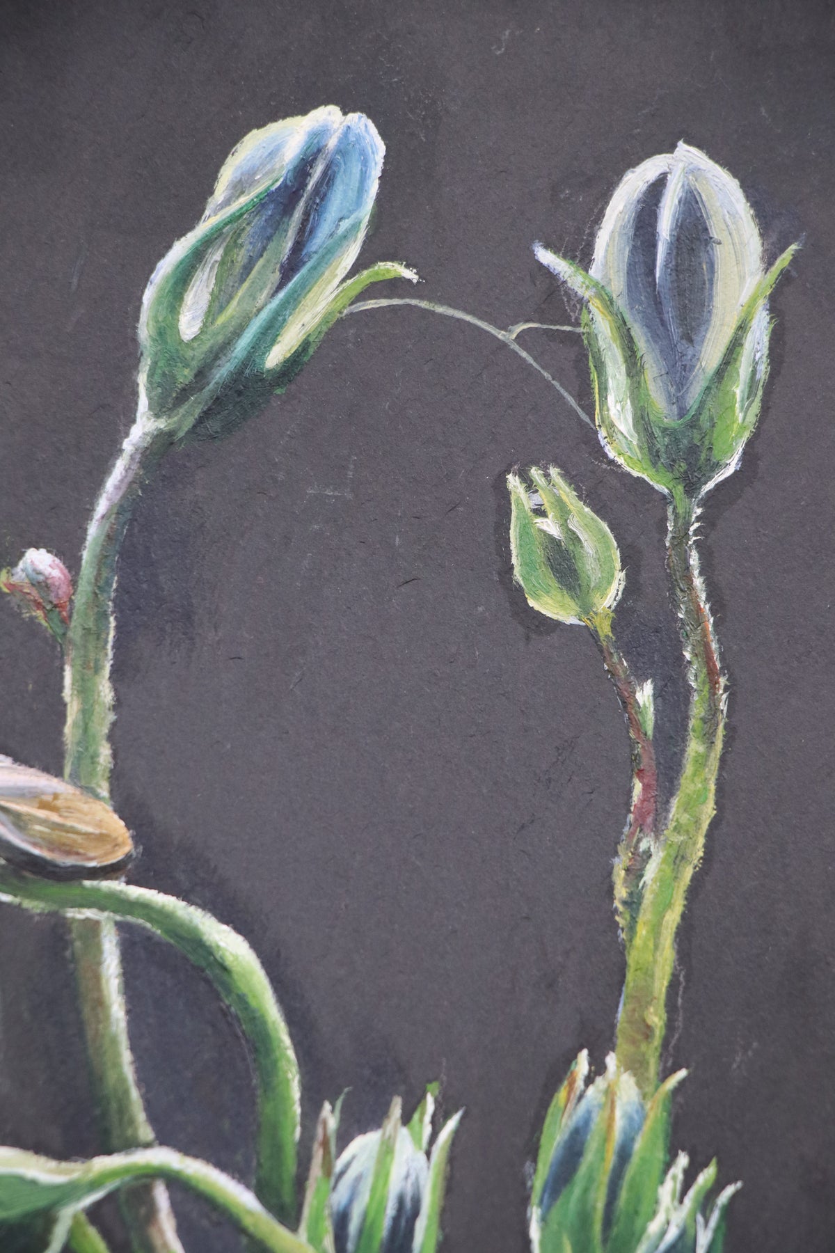 Bellflower - Original piece