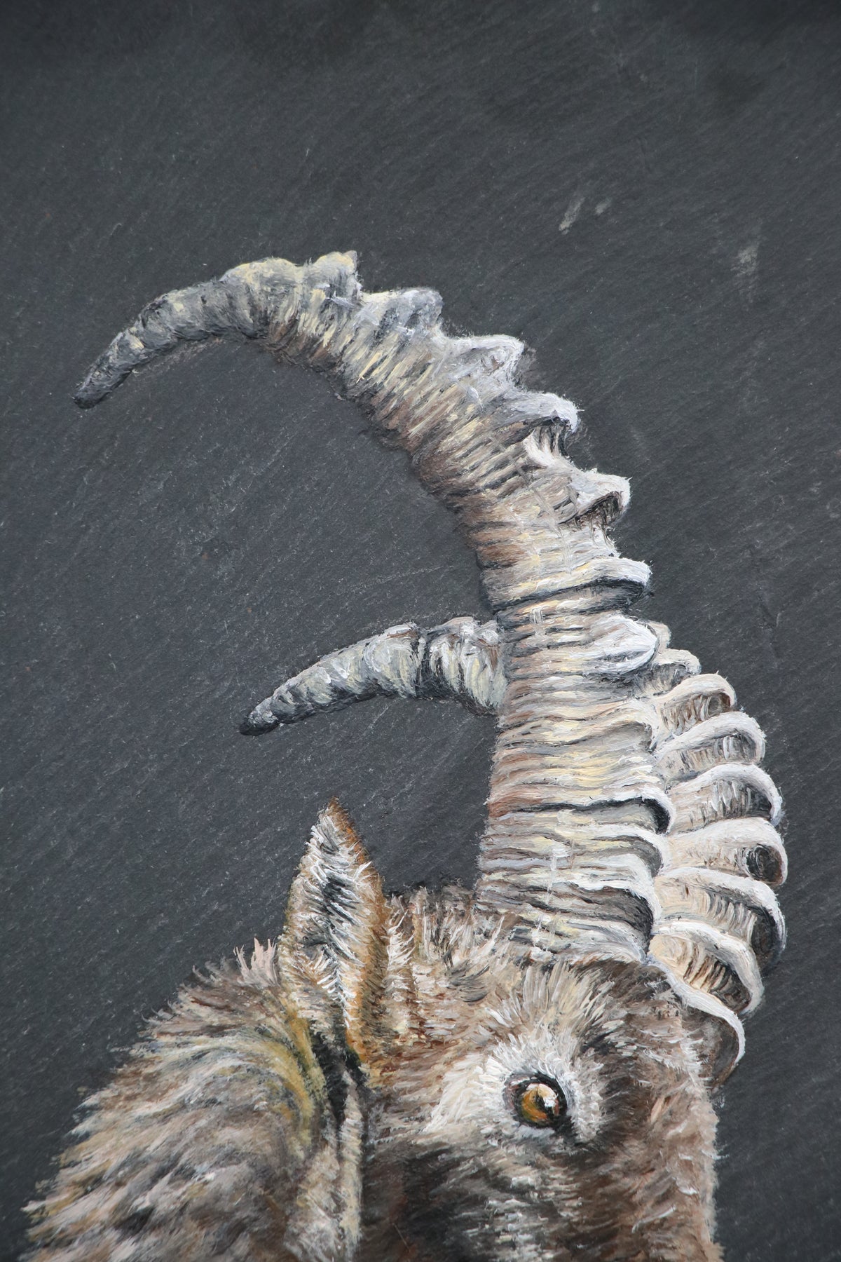 Longhorn - Original piece