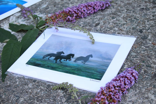 Horses in Mist - Small Mounted Print