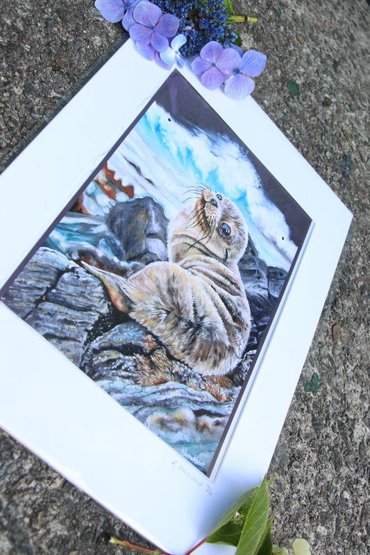 Sea Lion Pup - Large Mounted Print