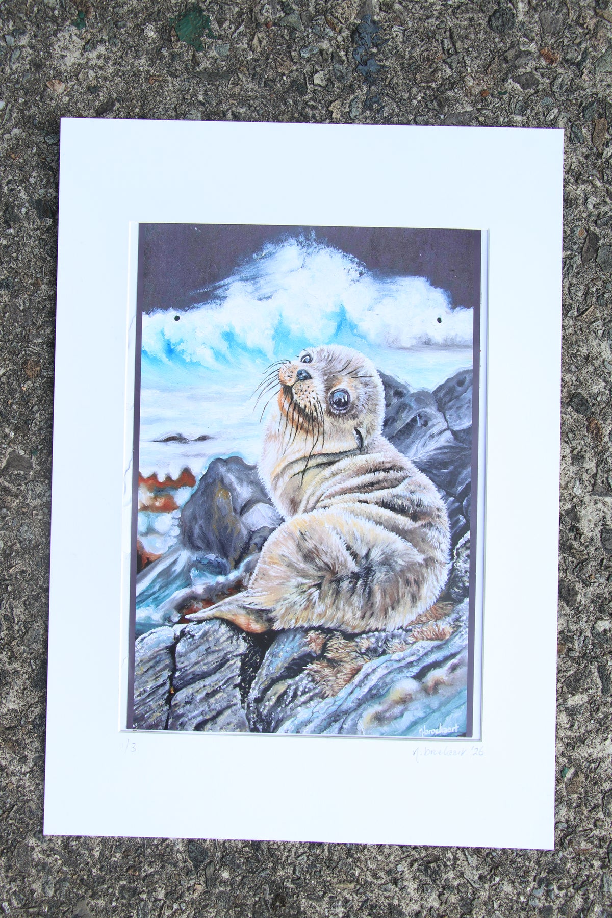 Sea Lion Pup - Large Mounted Print