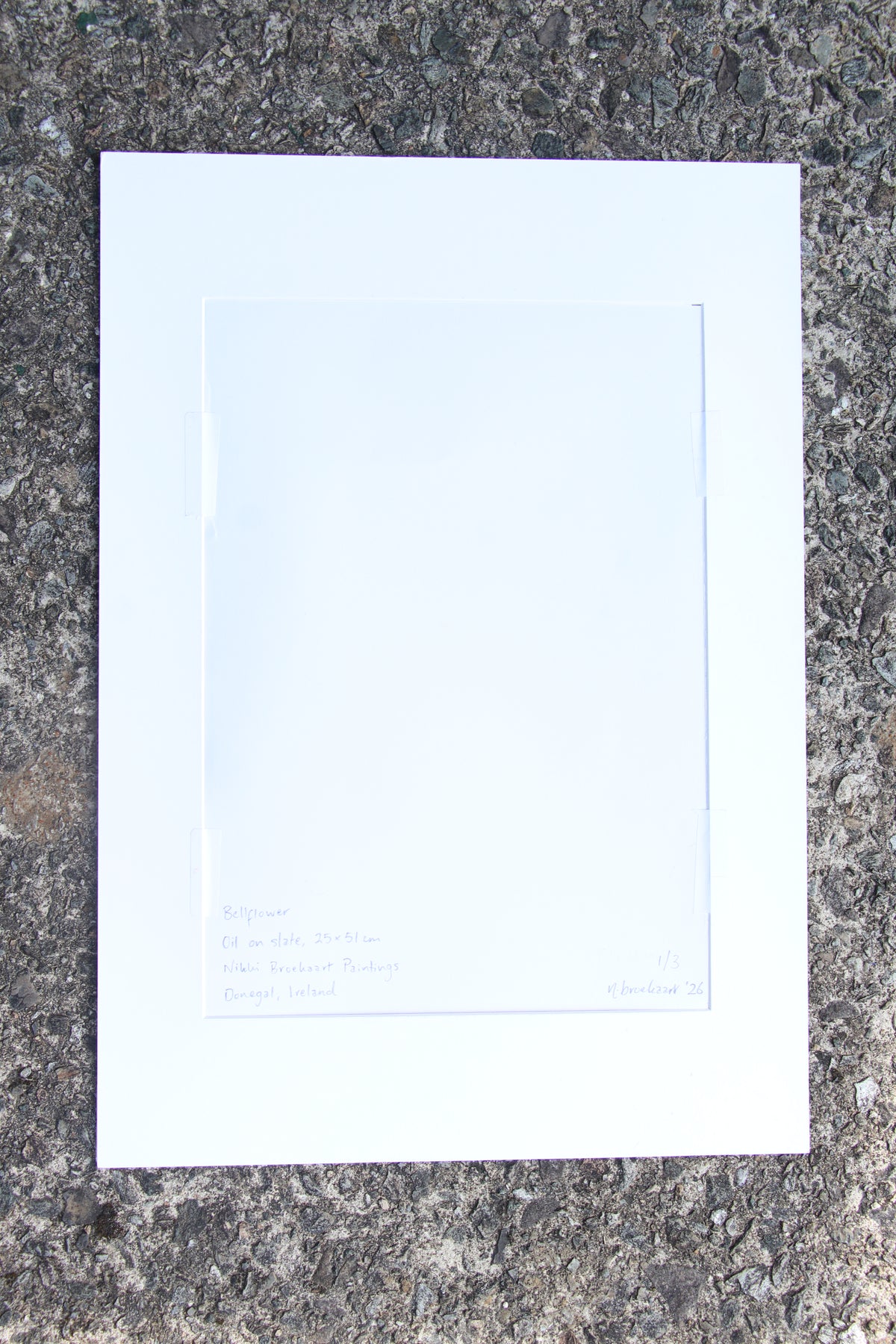 Bellflower - Large Mounted Print