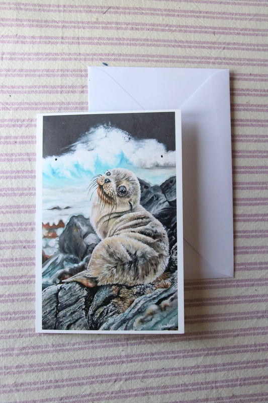 Sea Lion Pup - Printed Card