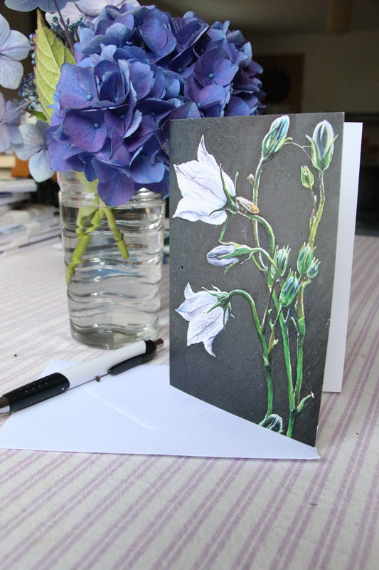 Bellflower - Printed Card
