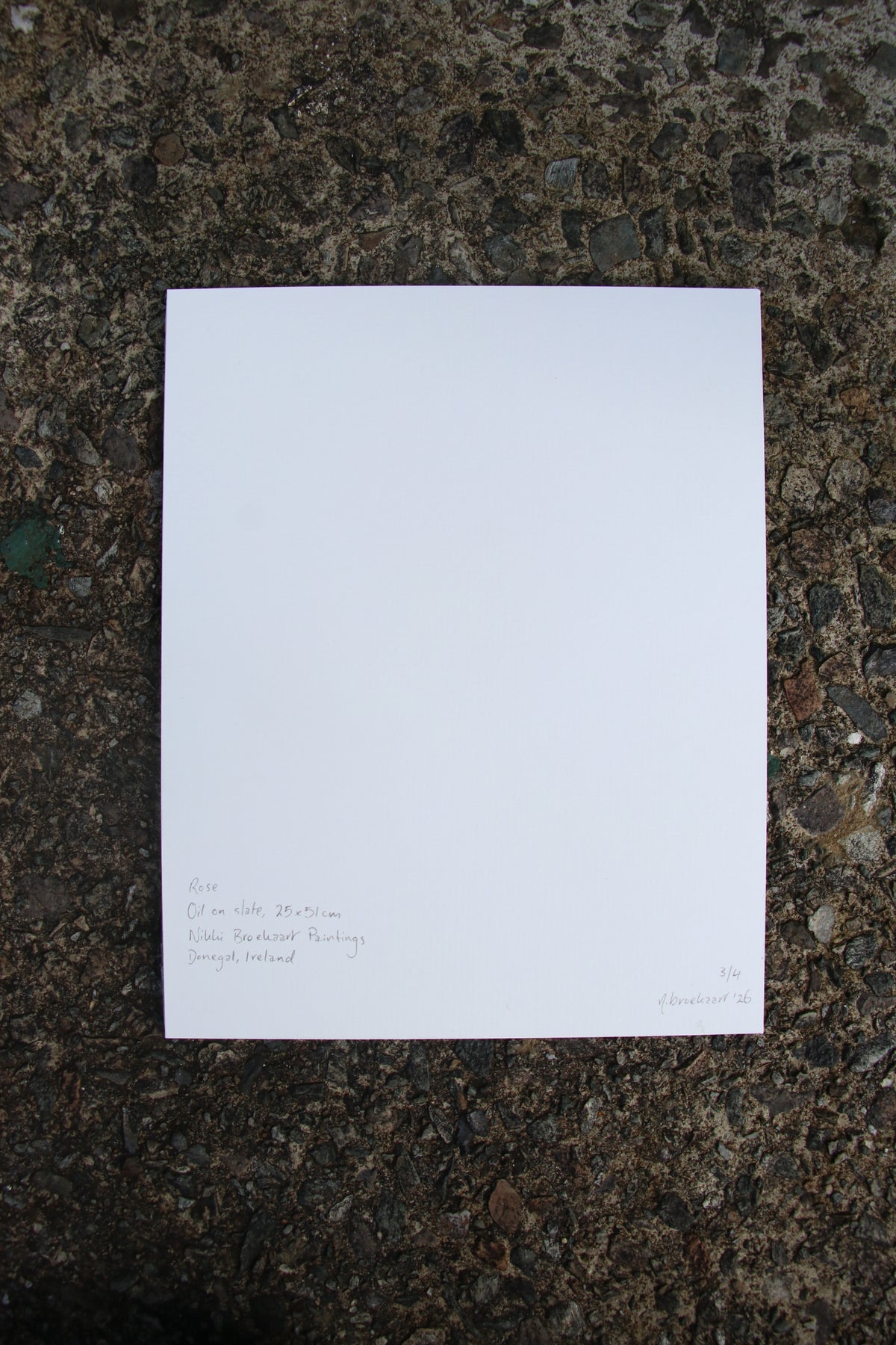 Rose - Small Mounted Print
