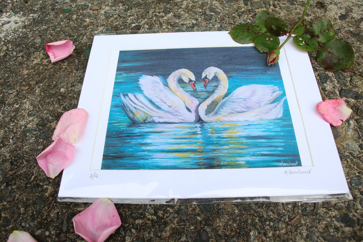 Swans - Small Mounted Prints