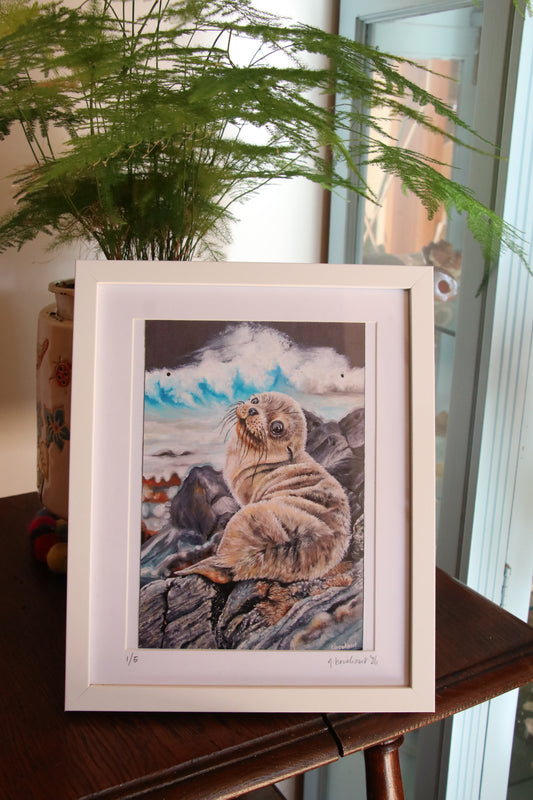 Sea Lion Pup - Small Print in Frame