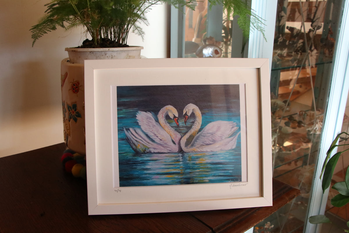 Swans - Small Print in Frame