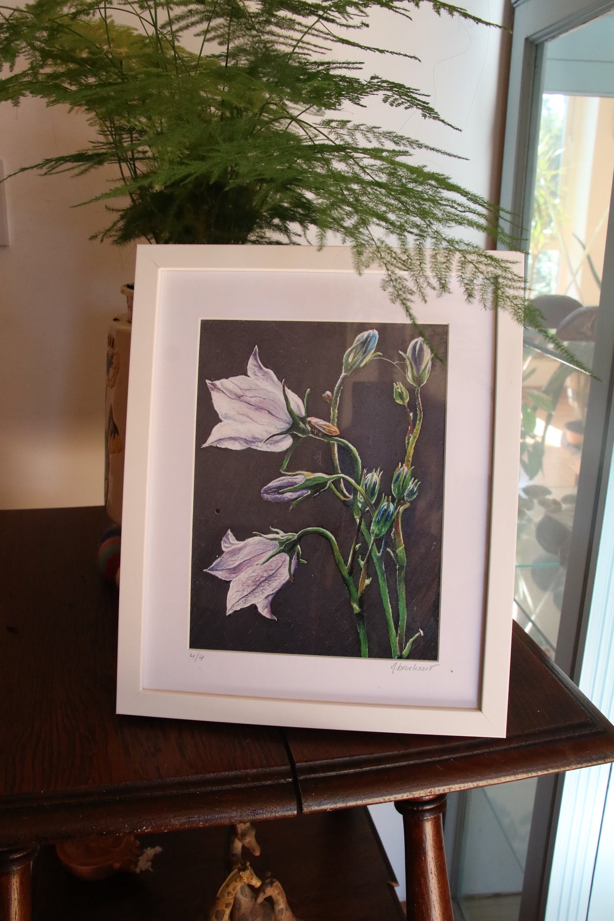 Bellflower - Small Print in Frame