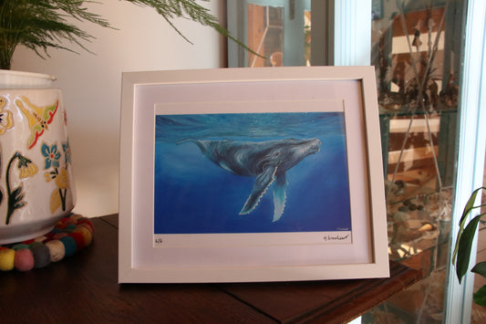 Humpback Whale - Small Print in Frame