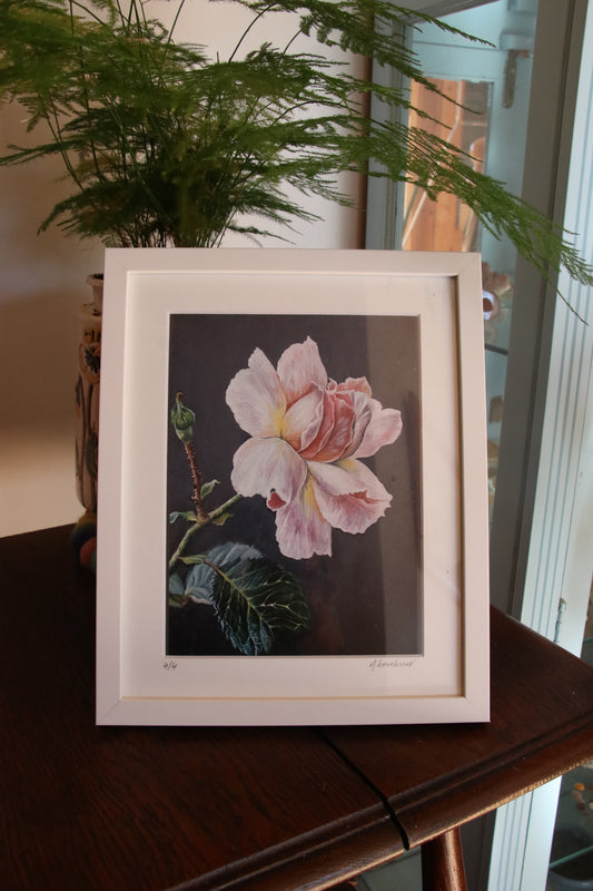 Rose - Small Print in Frame