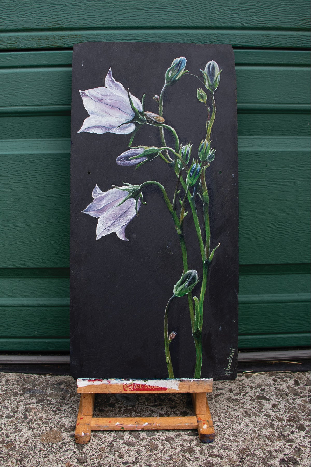 Bellflower - Original piece