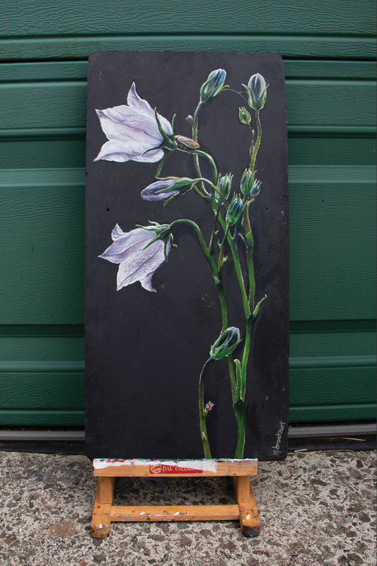 Bellflower - Original piece