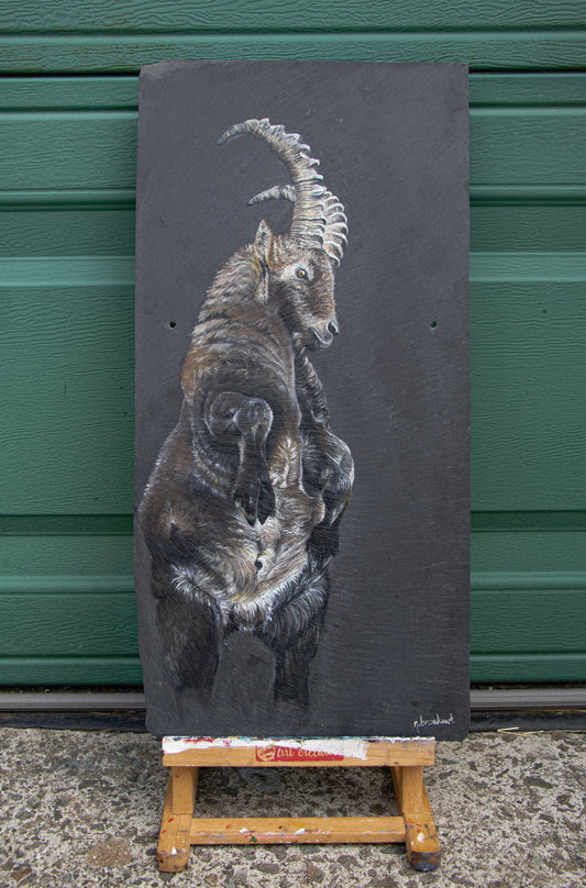 Longhorn - Original piece