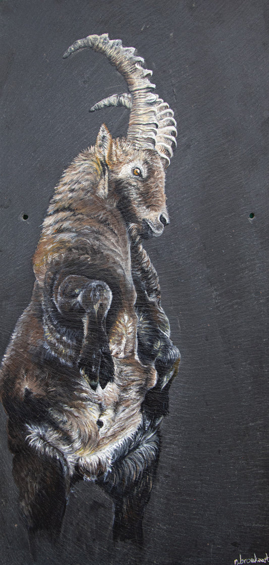 Longhorn - Original piece